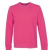 Colorful Standard Classic Organic Crew Bubblegum Pink. Sustainable men's and women's sweatshirts.