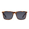 Le Specs Accessories Glasses Tweedledum Matte Tort/Matte Black Sunglasses LSP1402184