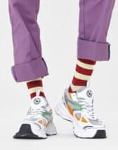 Happy Socks Stripe Sokid STR01-4500 Sokid Sügis/Talv 2022