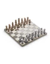 Printworks Kodu Lauamängud PW00570 Classic - Art of Chess Mirror Male