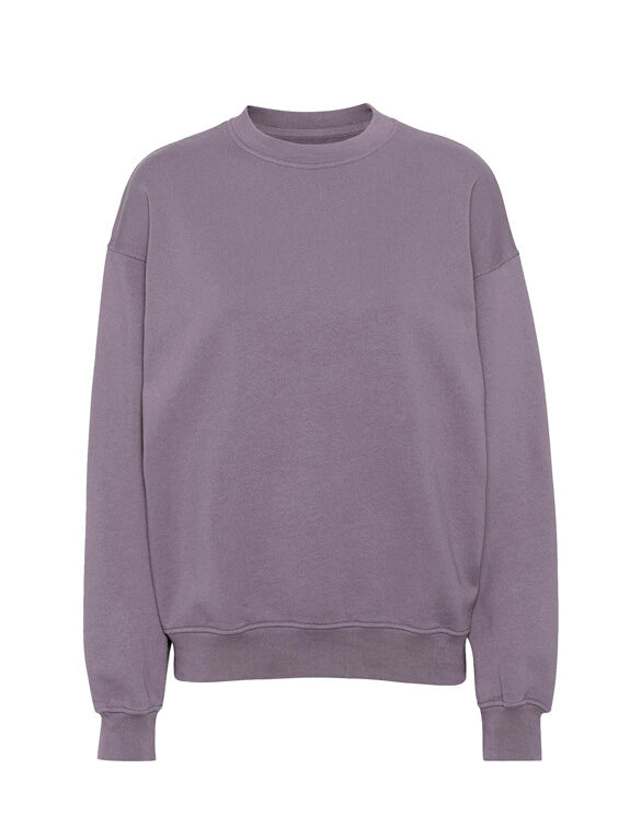 Colorful Standard Men Sweaters & hoodies  CS1012-Purple Haze