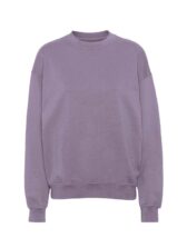 Colorful Standard Men Sweaters & hoodies Organic Oversized Crew Purple Jade CS1012-Purple Jade