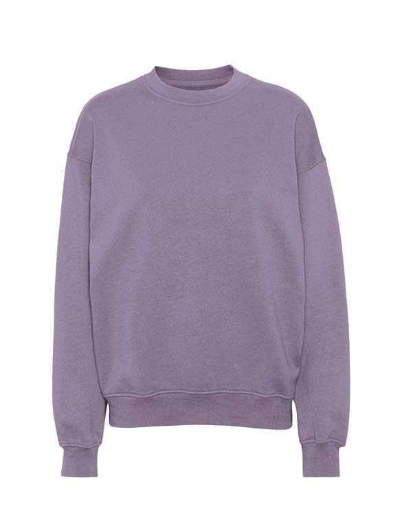 Colorful Standard Men Sweaters & hoodies  CS1012-Purple Jade