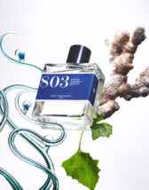 Bon Parfumeur BP803EDP Eau De Parfum 803: Sea Spray/Ginger/Patchouli Parfüüm Ilutooted Parfüümid