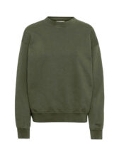 Colorful Standard Men Sweaters & hoodies Organic Oversized Crew Seaweed Green CS1012-Seaweed Green