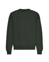Organic Oversized Crew Hunter Green