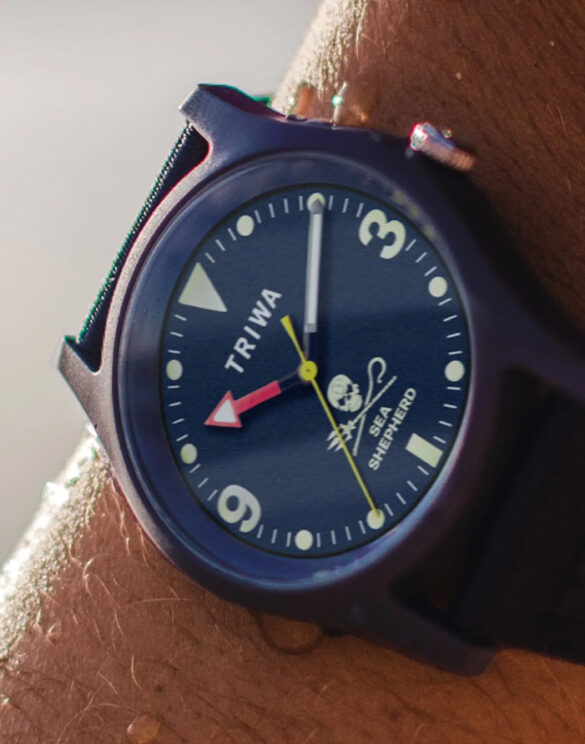 Triwa Aksessuaarid Käekellad  TSS102-CL150712