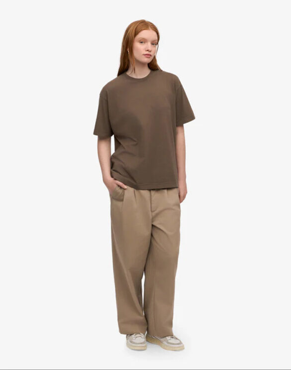 Colorful Standard Meeste riided T-särgid  CS2056-Cedar Brown