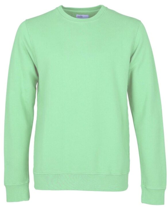 Colorful Standard Classic Organic Crew Faded Mint. Sustainable men's and women's sweatshirts.