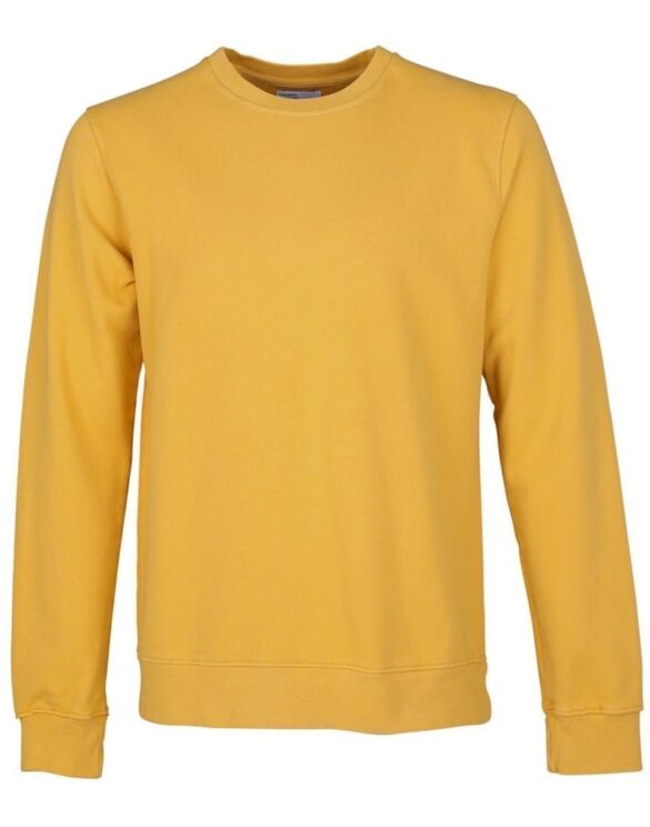 Colorful Standard Classic Organic Crew Burned Yellow. Sustainable men's and women's sweatshirts.