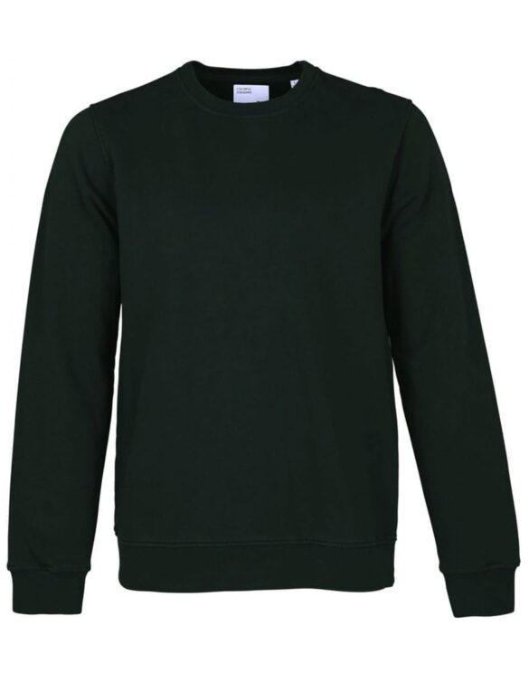 Colorful Standard Classic Organic Crew Hunter Green. Sustainable men's and women's sweatshirts.