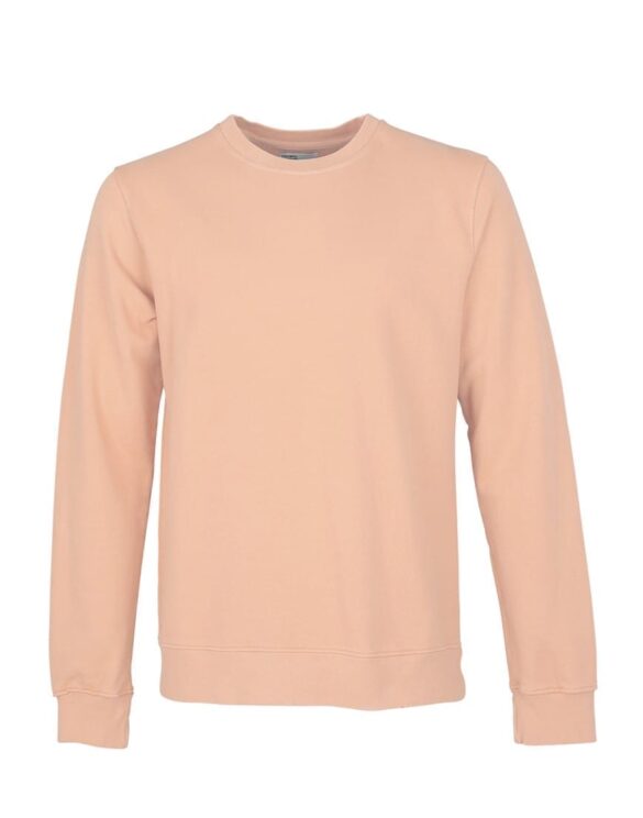 Colorful Standard Classic Organic Crew Paradise Peach. Sustainable men's and women's sweatshirts.