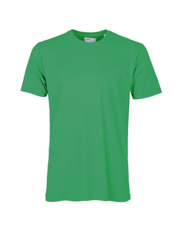 Colorful Standard Classic Organic Tee Kelly Green - men's T-shirts - womens tshirts - T-särgid