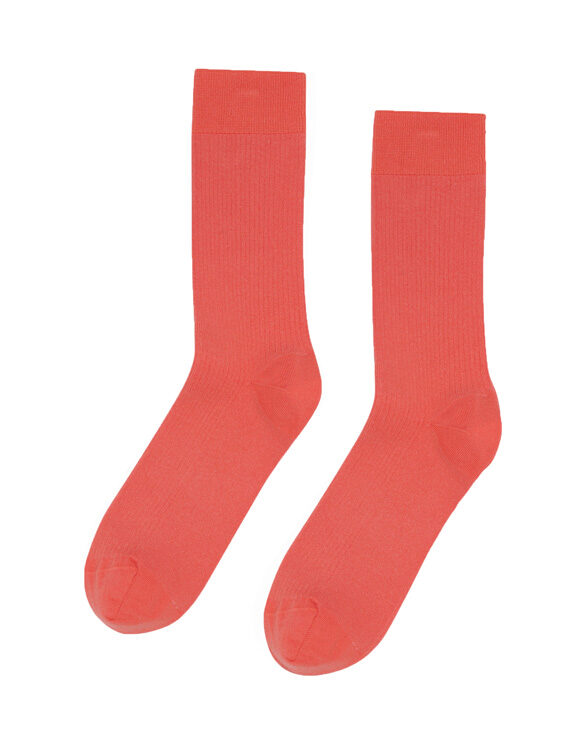 Colorful Standard Accessories Socks  CS6001 Bright Coral