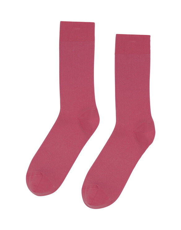 Colorful Standard Accessories Socks  CS6001 Raspberry Pink