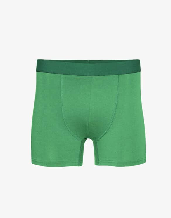 Colorful Standard Men Underwear Classic Organic Boxer Briefs Kelly Green CS7001 Kelly Green