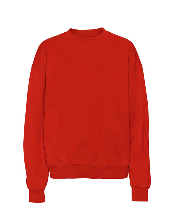 Colorful Standard Men Sweaters & hoodies Organic Oversized Crew Scarlet Red CS1012-Scarlet Red
