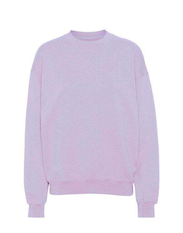 Colorful Standard Men Sweaters & hoodies Organic Oversized Crew Soft Lavender CS1012-Soft Lavender
