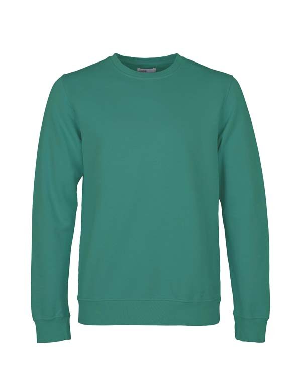 Colorful Standard Classic Organic Crew Pine Green. Sustainable men's and women's sweatshirts.