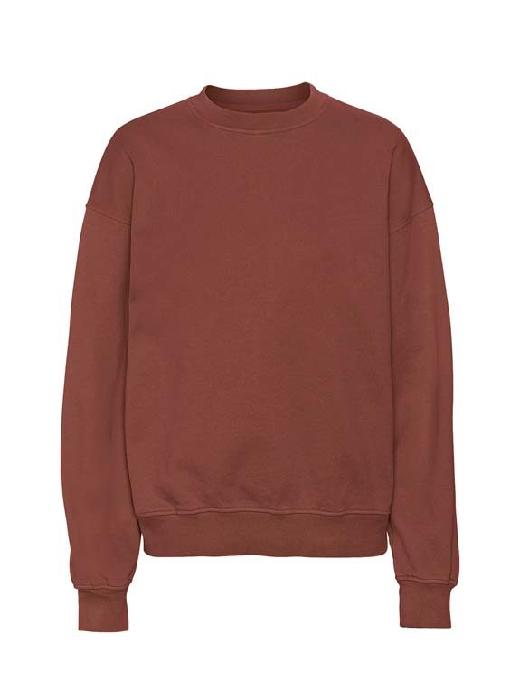Colorful Standard Men Sweaters & hoodies  CS1012-Cinnamon Brown