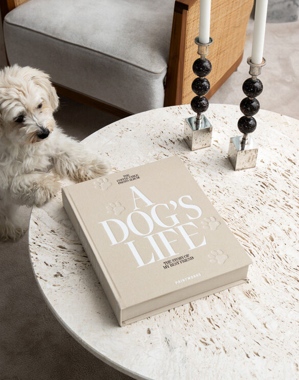 Dog Album-A Dog's Life Fotoalbum