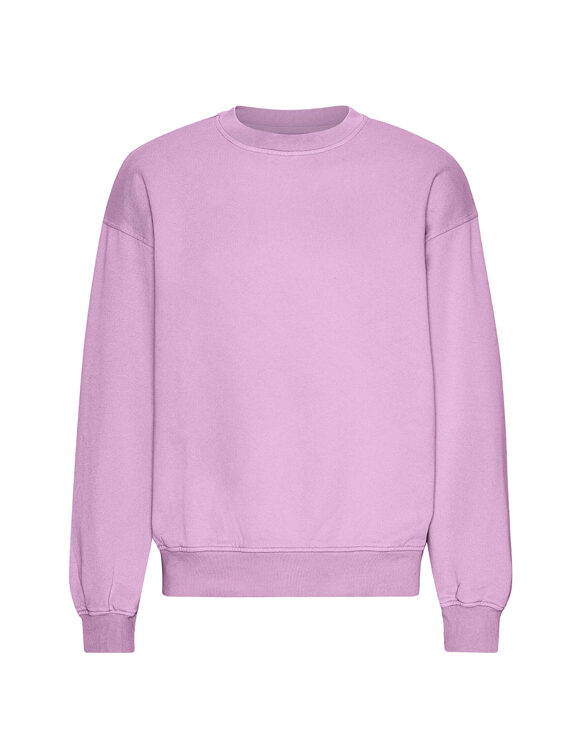 Colorful Standard Men Sweaters & hoodies Organic Oversized Crew Cherry Blossom CS1012-Cherry Blossom