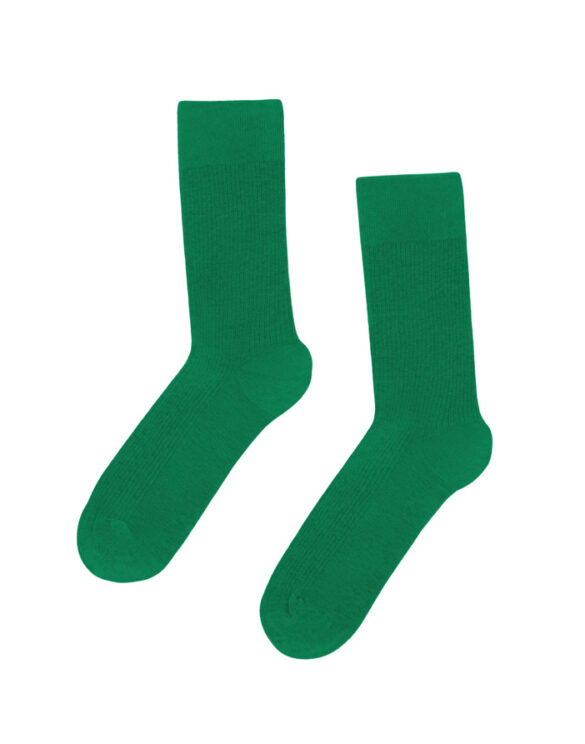 Colorful Standard Accessories Socks Classic Organic Sock Kelly Green CS6001-Kelly Green