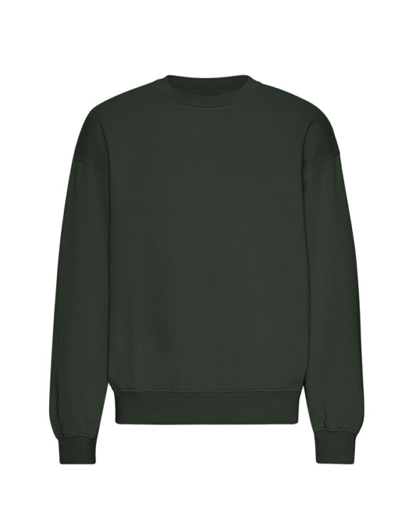 Organic Oversized Crew Hunter Green