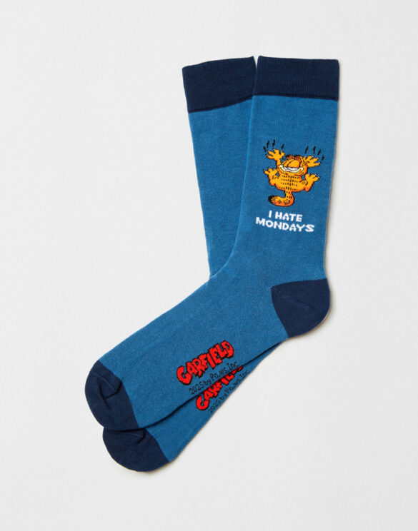 BeSocks Accessories Socks  BeGarfield Blue