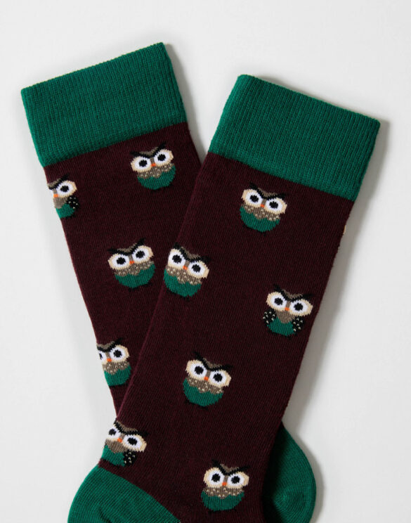 BeSocks Sokid Aksessuaarid  BeOwl Burgundy