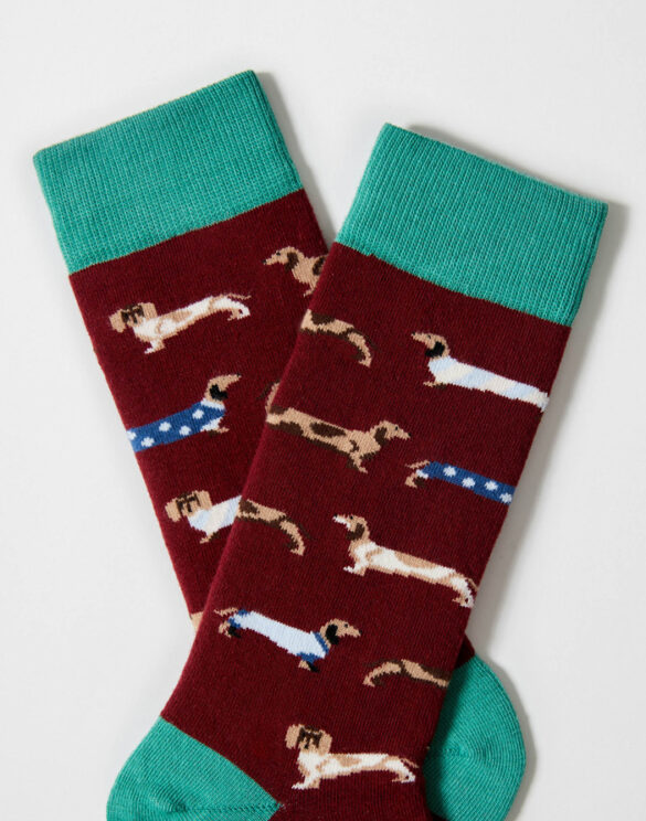 BeSocks Sokid Aksessuaarid  BePets Burgundy