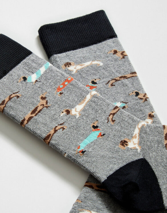 BeSocks Aksessuaarid Sokid  BePets Grey