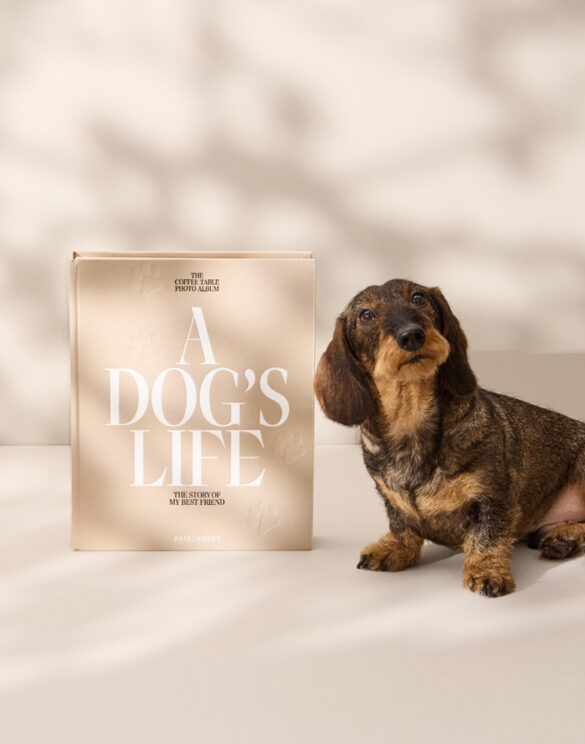 Printworks Dog Album-A Dog's Life