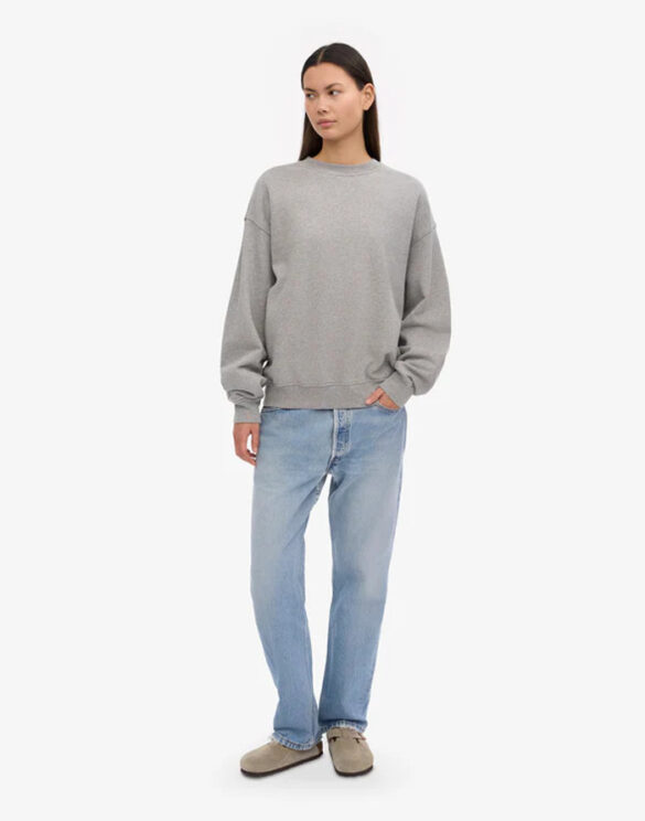 Colorful Standard Kampsunid ja pusad Meeste riided  CS1012-Heather Grey