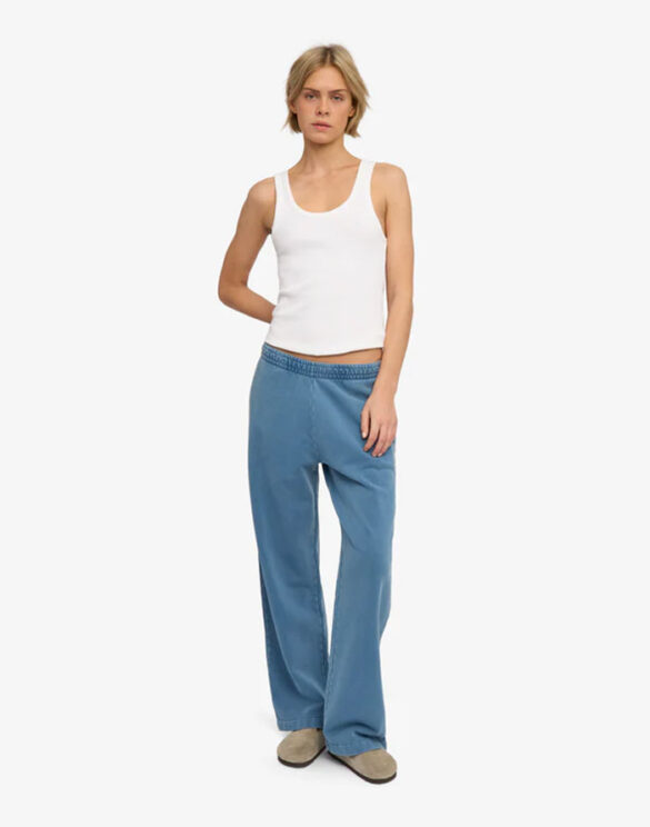 Colorful Standard Püksid Meeste riided  CS1018-Faded Indigo