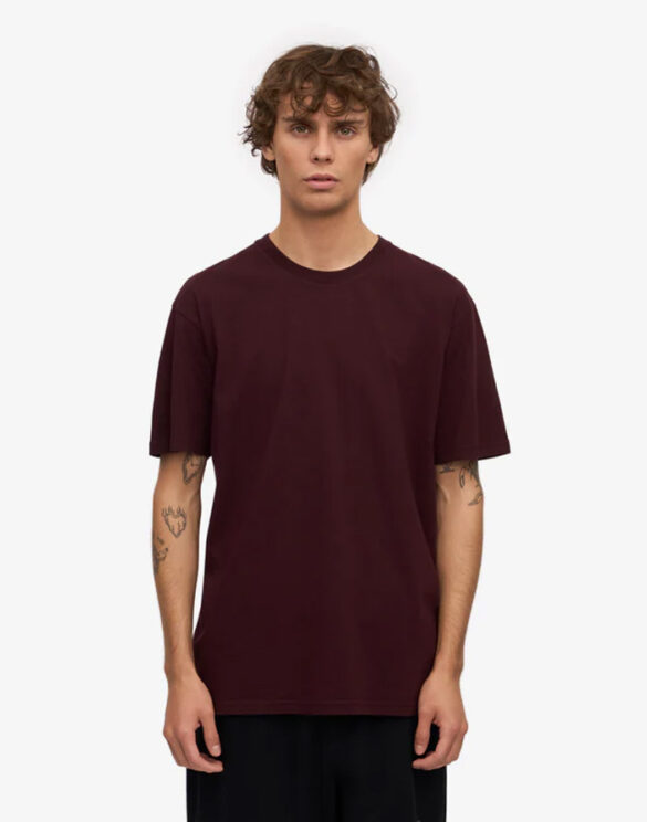 classic-organic-tee-t-shirt-oxblood-red-male_2